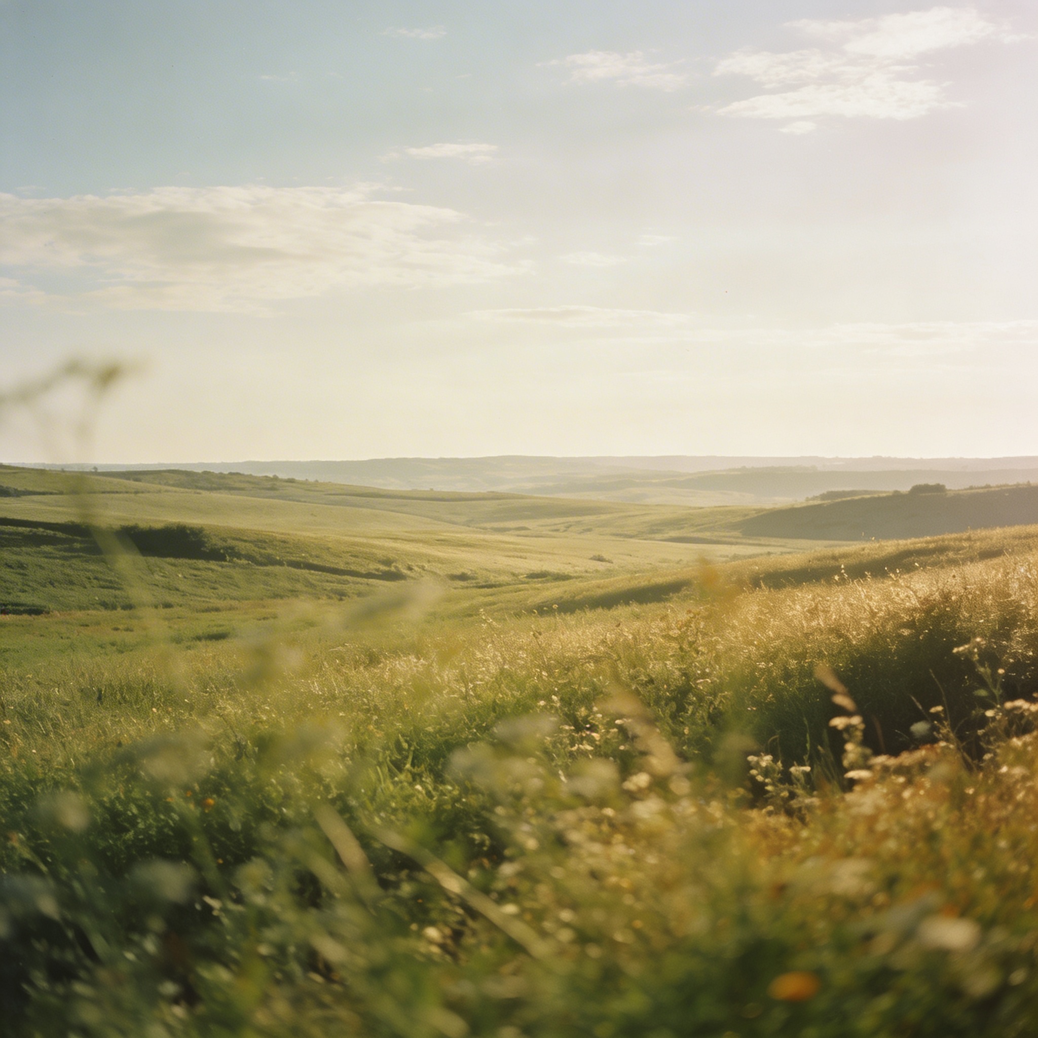 Minimalist corporate office lobby with abstract art